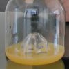 Orange juice bottle