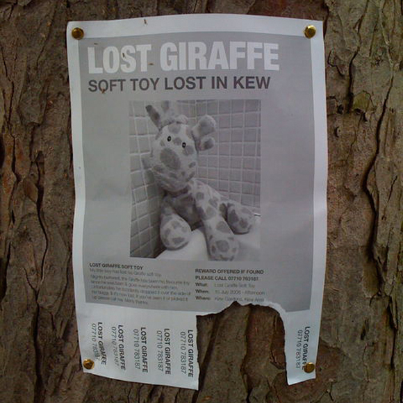 Lost property