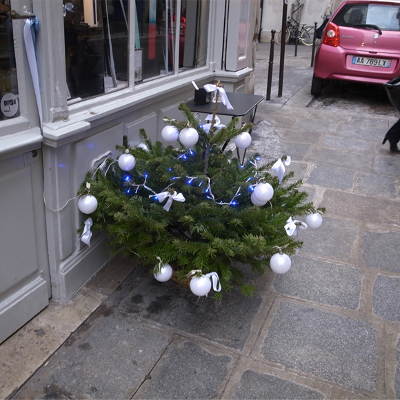 Sapin de Noël